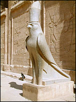 Vogel Horus
