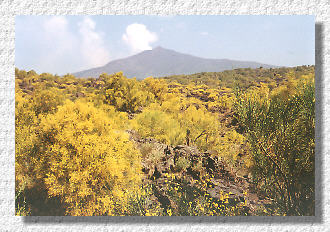 scenery on the way up to the Etna