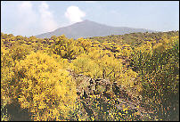 Volcano Etna - send as a greeting card