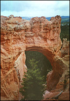 Viewpoint at the Scenic Drive