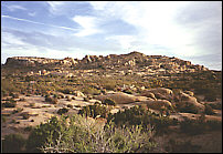 Joshua Tree Panorama