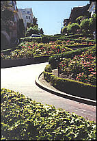 Lombard Street - ein Blumenmeer